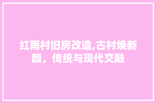 红雨村旧房改造,古村焕新颜，传统与现代交融 家电维修