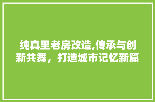 纯真里老房改造,传承与创新共舞，打造城市记忆新篇章