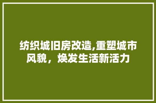 纺织城旧房改造,重塑城市风貌，焕发生活新活力