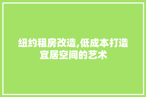 纽约租房改造,低成本打造宜居空间的艺术