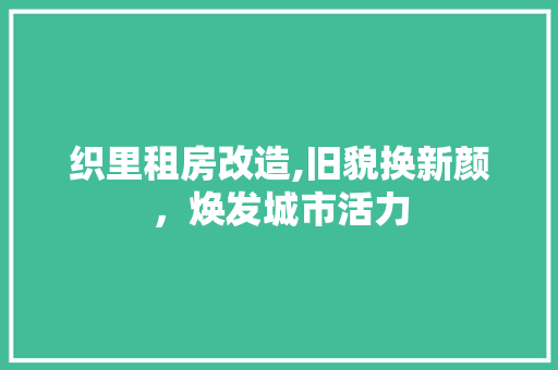 织里租房改造,旧貌换新颜，焕发城市活力