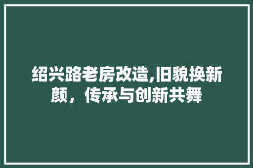 绍兴路老房改造,旧貌换新颜，传承与创新共舞 家电维修