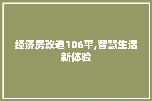 经济房改造106平,智慧生活新体验