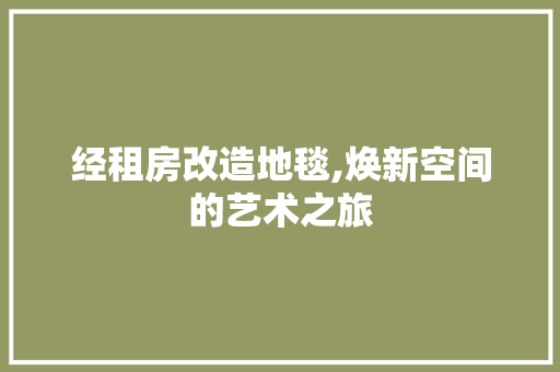 经租房改造地毯,焕新空间的艺术之旅 汽车维修