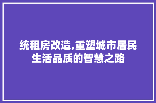 统租房改造,重塑城市居民生活品质的智慧之路