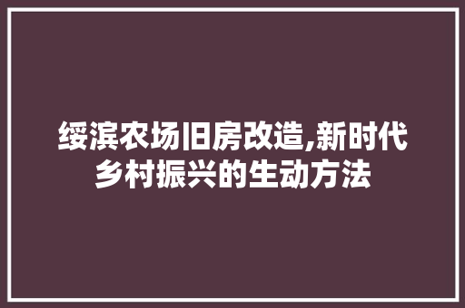 绥滨农场旧房改造,新时代乡村振兴的生动方法