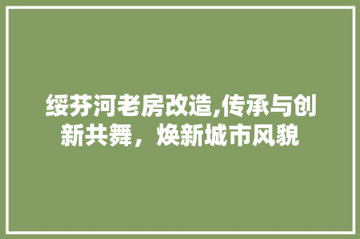 绥芬河老房改造,传承与创新共舞，焕新城市风貌
