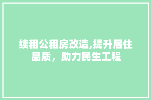 续租公租房改造,提升居住品质，助力民生工程