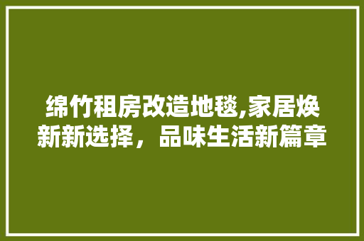绵竹租房改造地毯,家居焕新新选择，品味生活新篇章