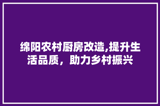 绵阳农村厨房改造,提升生活品质，助力乡村振兴
