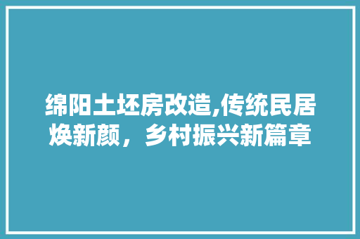 绵阳土坯房改造,传统民居焕新颜，乡村振兴新篇章