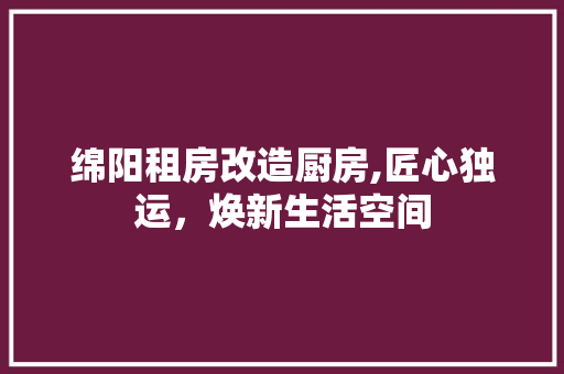 绵阳租房改造厨房,匠心独运，焕新生活空间