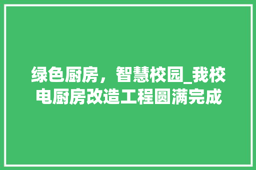 绿色厨房，智慧校园_我校电厨房改造工程圆满完成