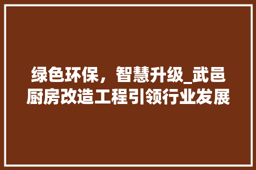 绿色环保，智慧升级_武邑厨房改造工程引领行业发展新潮流