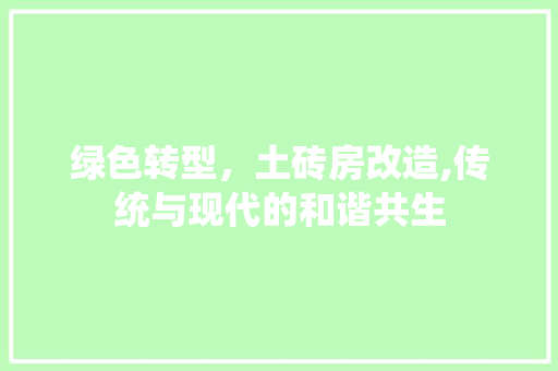 绿色转型，土砖房改造,传统与现代的和谐共生