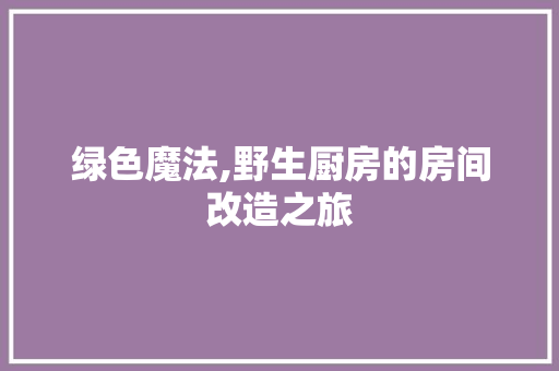 绿色魔法,野生厨房的房间改造之旅