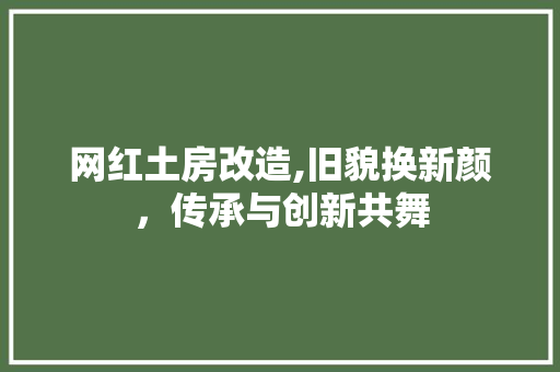 网红土房改造,旧貌换新颜，传承与创新共舞