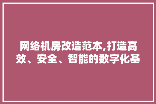 网络机房改造范本,打造高效、安全、智能的数字化基础设施
