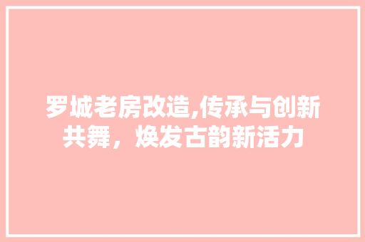 罗城老房改造,传承与创新共舞，焕发古韵新活力