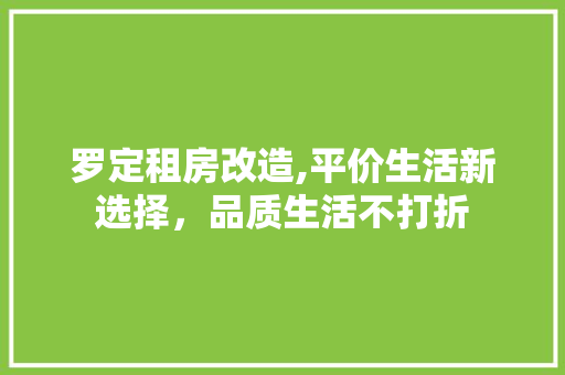 罗定租房改造,平价生活新选择，品质生活不打折
