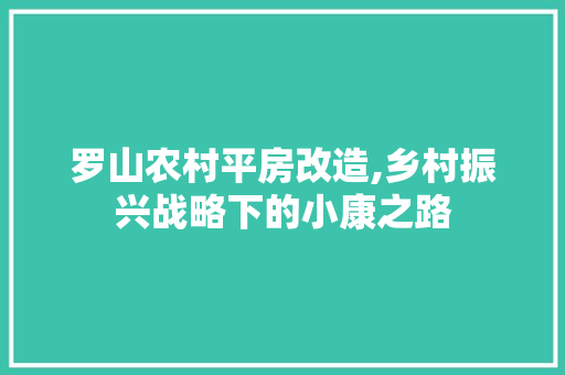 罗山农村平房改造,乡村振兴战略下的小康之路
