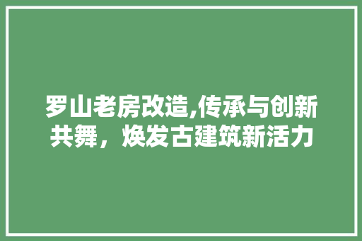 罗山老房改造,传承与创新共舞，焕发古建筑新活力