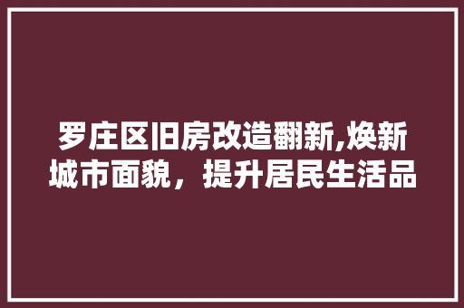罗庄区旧房改造翻新,焕新城市面貌，提升居民生活品质 墙体维修
