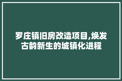 罗庄镇旧房改造项目,焕发古韵新生的城镇化进程 厨房维修