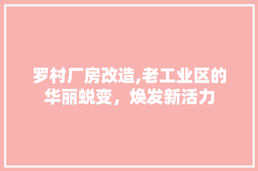 罗村厂房改造,老工业区的华丽蜕变，焕发新活力 墙体维修