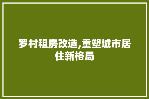 罗村租房改造,重塑城市居住新格局