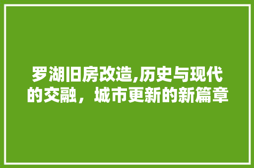 罗湖旧房改造,历史与现代的交融，城市更新的新篇章