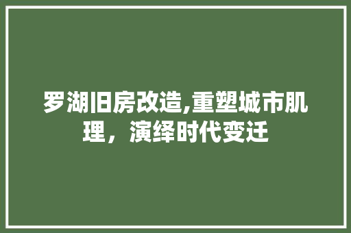 罗湖旧房改造,重塑城市肌理，演绎时代变迁