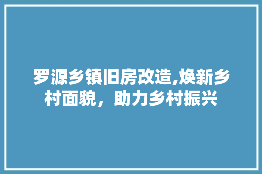 罗源乡镇旧房改造,焕新乡村面貌，助力乡村振兴