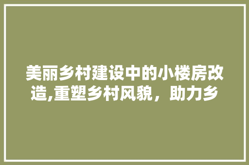 美丽乡村建设中的小楼房改造,重塑乡村风貌，助力乡村振兴