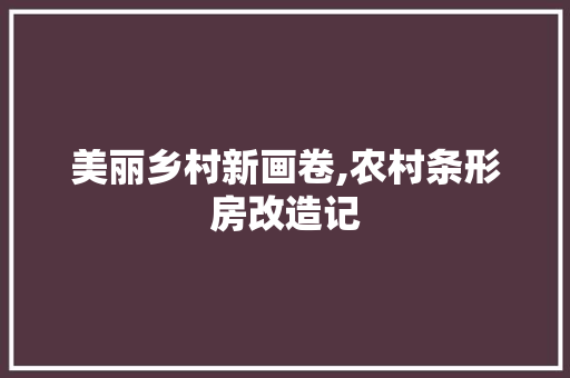 美丽乡村新画卷,农村条形房改造记
