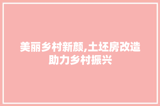 美丽乡村新颜,土坯房改造助力乡村振兴