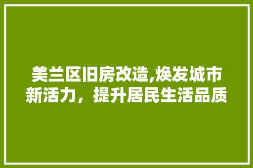 美兰区旧房改造,焕发城市新活力，提升居民生活品质