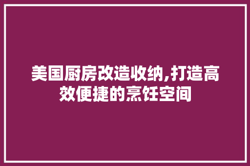 美国厨房改造收纳,打造高效便捷的烹饪空间 汽车维修