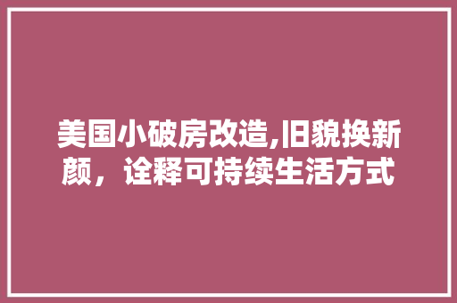 美国小破房改造,旧貌换新颜，诠释可持续生活方式 厨房维修