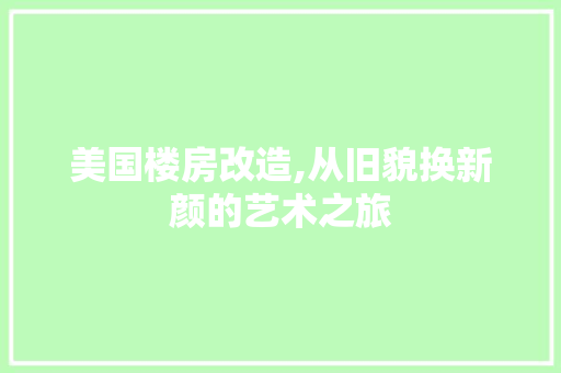 美国楼房改造,从旧貌换新颜的艺术之旅