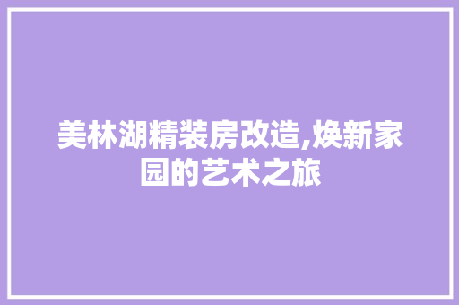 美林湖精装房改造,焕新家园的艺术之旅