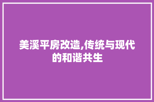 美溪平房改造,传统与现代的和谐共生
