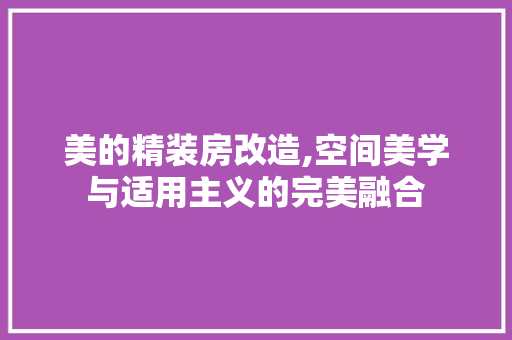美的精装房改造,空间美学与适用主义的完美融合