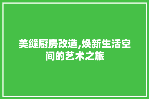 美缝厨房改造,焕新生活空间的艺术之旅