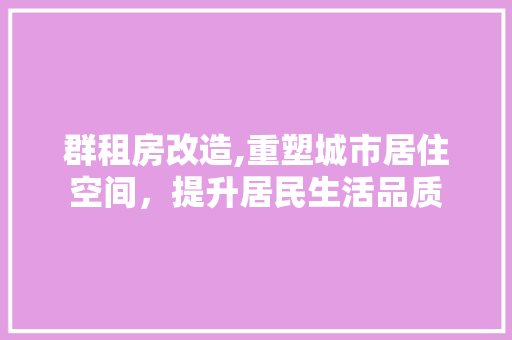 群租房改造,重塑城市居住空间，提升居民生活品质