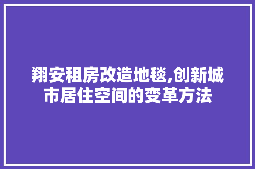 翔安租房改造地毯,创新城市居住空间的变革方法
