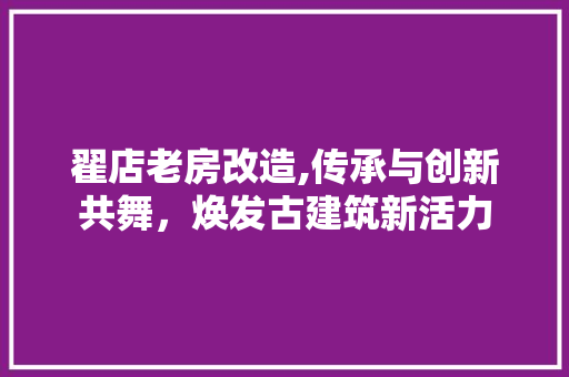 翟店老房改造,传承与创新共舞，焕发古建筑新活力