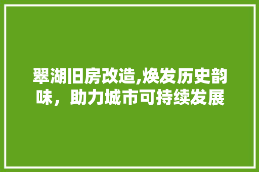 翠湖旧房改造,焕发历史韵味，助力城市可持续发展