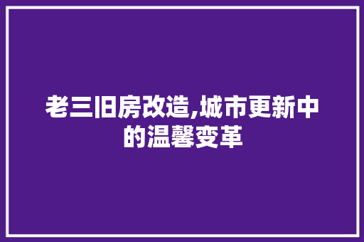 老三旧房改造,城市更新中的温馨变革