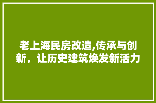 老上海民房改造,传承与创新，让历史建筑焕发新活力 汽车维修